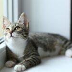 Best Ways to Darken Your Room