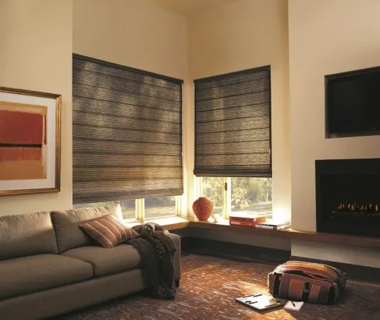 Window shades in living room