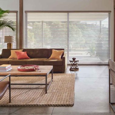 silhouette shades pv pebble silhouette scene